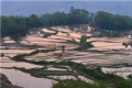 Hani village 1